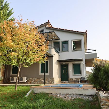 Skiathos Poseidon Apartment エクステリア 写真