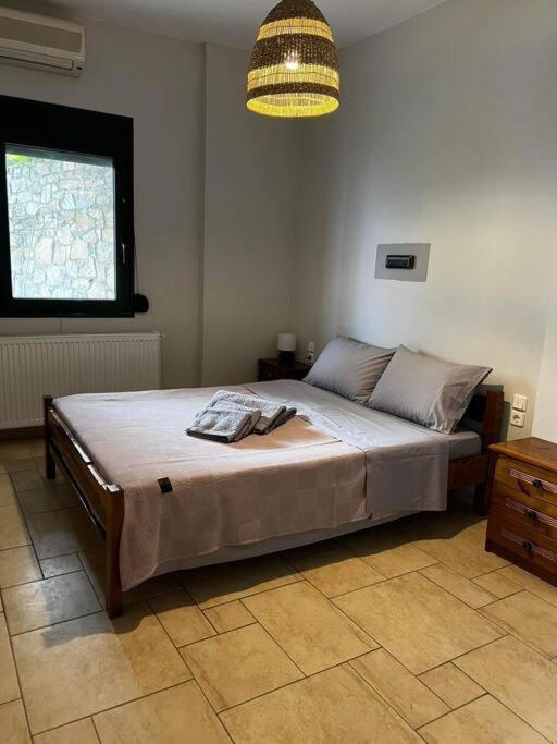 Skiathos Poseidon Apartment エクステリア 写真